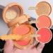 Blush Makeup Palette 3 Colors Blusher Compact Powder Makeup - Multi-Layer Facial Pressed Powder Cheek Matte Mineral Blush Blendable Long-Lasting All-Day Aezon 2# Milk Peach - Buy Online on GoSupps.com