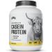 Levels 100% Micellar Casein Protein Hormone Free Vanilla Bean 4LB Vanilla 4 Pound (Pack of 1)