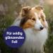 Canosept Fur Care Spray for Dogs 250ml - De-Filzing & Mite Solution for Easy-to-Comb Shiny Fur - Buy Online on GoSupps.com