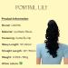 CAISHA 16" Hairpiece Ponytail Extension Butterfly Clip Voluminous Wavy Black H63 black #1 H63 - Buy Online on GoSupps.com