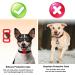 Buy PKQtop Airtag Protective Cover for Dog Collar - Silicone Anti-Lost Case in Pink | Worldwide Shipping - Buy Online on GoSupps.com