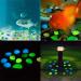 Halcyerdu 200 Pcs Fluorescent Pebble Stones - Bright Green Night Light Stones for Aquarium & Garden Decoration - Buy Online on GoSupps.com