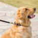 Adjustable Heavy-Duty Martingale Collars for Dogs - Soft & Smooth Black Daisy Prints - Ideal for Large & Small Breeds - Buy Online on GoSupps.com