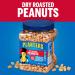 Planters Dry Roasted Peanuts 34.5 oz - Sea Salt, Pack of 3, Heart Healthy Kosher Snack - Buy Online on GoSupps.com