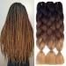 Ombre Kanekalon Braiding Hair 3 Pack Ombre Jumbo Braiding Hair Extensions 24 Inch Jumbo Braid Synthetic Hair for Braiding (3 pack, Black-Dark Brown-Light Brown) 24 Inch (Pack of 3) Black-Dark Brown-Light Brown