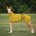 Geyecete Greyhound Light Dog Jacket - Waterproof Adjustable Wind Coat for Greyhounds & Whippets - Reflective Poncho for Dogs (Yellow Size L - Back Length: 61-64cm) - Buy Online on GoSupps.com