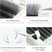 ANNAFRIS Premade Fan Lash Extension 5D W 0.07 D Curl 9-13mm Pre Made Russian Volume Eyelash Hand Woven Lash Soft Faux Mink False Lashes(5D W 0.07 D Curl 9-13mm MIX) 0.07-D-9-13mm - Buy Online on GoSupps.com