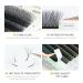 Buy 5D Premade Fan W Shape Eyelash Extensions | 0.07 D Curl 9-13mm Mix Volume | Professional Self Fanning False Lashes - Buy Online on GoSupps.com