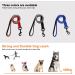 DOKI Reflective Double-Sided Nylon Dog Lead with Padded Handle - 1.2m Strong Leash for Small, Medium, Large Dogs (3.9FT Blue) - Buy Online on GoSupps.com