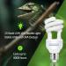 Caldarax 10.0 UVA UVB Bulb - 13W Compact Light for Desert Reptiles | E27 Tortoise Reptile Light for Lizard, Turtle, Snake, Chameleon, Bearded Dragon - Buy Online on GoSupps.com