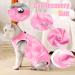Lianzimau Cat Recovery Suit M Pink - Post Surgery Bodysuit for Cats - Anti Lick & Spay Recovery Clothing - Buy Online on GoSupps.com