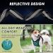 Slowton Dog Harness with Safety Belt for Cars - Breathable Latex Puppy Harness for Everyday Sports - XS Green - Buy Online on GoSupps.com