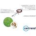 Cartrend Caravan 10195 Tie-Down Stake & Ground Anchor for Dogs | Mooring Spiral for Camping & Outdoor Use - Buy Online on GoSupps.com