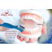 NaturDent Strong Denture Adhesive Bundle with Dentu-Care Storage Box and Brush - Zinc and Paraben-Free, Long-Lasting Hold - Buy Online on GoSupps.com