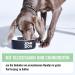 JOHN DOG Dry Dog Food Duck with Rabbit - Food for Adult Dogs and Small Breeds - Grain Free and Premium Quality - 3 kg - Buy Online on GoSupps.com