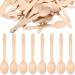 500 Pack Disposable Green Spoons Plain Wooden Disposable Spoons 6 Inches Wooden Cutlery Spoons +Home Disposable Paper Pattal Plate 7-Inch Silver (100)