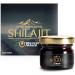 DK Pure Himalayan Shilajit/Shilajeet Resin 20 g | Guaranteed 75%+ Fulvic Acid | Sourced from 5.5 m | For Endurance Stamina and Strength | Contains a Certificate of