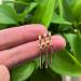 Shop Anime Zoro Earrings & Straw Hat Luffy Jewelry - 12-Piece Clip Set for Men & Women | Fashionable Vertical Stripes & Character Stickers - Buy Online on GoSupps.com