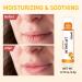 DMSKY 24-Pack Vitamin E Lip Balm with Coconut Oil - 100% Natural Ingredients - Assorted Flavors for Moisturized and Soothed Lips - Buy Online on GoSupps.com