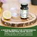 St. Francis Herb Farm | Olive Leaf 5:1 Extract Capsules | Antioxidant Support for a Healthy Heart | Helps to Maintain Healthy Blood Pressure & Improve Cardiovascular Health | 16-24% Oleuropein | Canadian Company | 60 Vegicaps - Buy Online on GoSupps.com