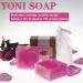 Organic Yoni Soap Bars for Women - PH Balanced Vaginal Wash - Handmade Feminine Care Soap (Pack of 2) - Buy Online on GoSupps.com
