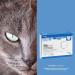 Visoguard Tablets for Dogs & Cats | 30 Pieces - Supports Vision & Eye Health with Lutein & Zeaxanthin | Ideal Pet Care Supplement - Buy Online on GoSupps.com