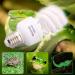Buy Aiicioo UVB 10.0 Reptile Lamp Bulb 26W - Perfect Heating Light for Turtles Snakes Lizards & Amphibians - Buy Online on GoSupps.com
