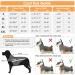 Slowton Dogs Winter Jacket | Adjustable Waterproof Dog Coat with Reflective Stripes | Warm Snowsuit for Pets (L Gray) - Buy Online on GoSupps.com