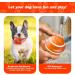 Shop Interactive Self-Strolling Dog Toy Ball - Wicked Ball with Remote Control | Intelligent Automatic Dog Toy for All Breeds - Buy Online on GoSupps.com