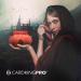 CardKingPro Immense Dice Bag with Pockets - Burnt Orange - 150+ Dice Capacity | Patented Design | Ideal for Dice Hoarders - Buy Online on GoSupps.com