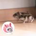 Jagowa 1PCS Hamster Hedgehog Bed Nest Pet Bed Cute Winter House Warm Sleeping for Small Animals (Grey Pink) - Buy Online on GoSupps.com