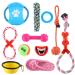 DasMorine dog toy rope toy toys puppy kieletzeit set from 11 dog cotton rope rope knot toy and dog ball for small medium large breeds stress -free dog training gifts