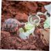 BESPORTBLE 4 Pcs Reptile Sand Shovel Filtering Sand Shovel Sand Filtering Mesh Reptichip Silver Barbed Wire 20X7X3CMx2pcs Silverx2pcs - Buy Online on GoSupps.com