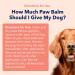 Vets Preferred Paw Balm for Dogs - 2 oz | Soothes, Heals & Moisturizes Dry Noses and Paws | Ideal for Extreme Weather - Buy Online on GoSupps.com