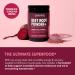 HAVASU NUTRITION Creatine Powder for Women + Beet Root Powder: Post Workout Recovery Bundle - Buy Online on GoSupps.com