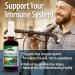 Nature's Answer Sambucus Spray | Supports a Healthy Immune System | Infused with Slippery Elm, Sage & Echinaea | Alcohol-Free, Gluten-Free, Kosher Certified & No Preservatives 2oz - Buy Online on GoSupps.com