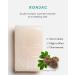 Jadamsun Apple Konjac Jelly (20pc) - Low Calorie Korean Fruit Smoothie Snack for Diet | Sugar Free - Buy Online on GoSupps.com