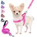 Eyein No Pull Small Dog Harness & Lead Heavy Duty Easy for Walk Vest Harness Soft Padded Reflective Adjustable Puppy Harness Anti-Twist Pet Lead Quick Fit for Small Dog Cat Animal (S Pink) S Pink