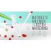 Cali White Vegan Natural Teeth Whitening Pen - Zero Peroxide Gel, Made in USA, Sensitive & Convenient On-The-Go Brush - Instant Professional Results & Organic Mint - Buy Online on GoSupps.com