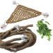 PINVNBY Bearded Dragon Hammock Jungle Climber Vines Flexible Reptile Leaves with Suction Cups Habitat Decor for Climbing Chameleon Lizards Gecko Snakes