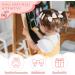 12 Pieces Hair Bands Girl Bows Hair Clips Girl Hair Bows Hair Girl Baby Children Hair Accessories Suitable for Daily Life Parties Shows Photography and Festivals - Buy Online on GoSupps.com