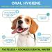 PetHonesty Oral Hygiene Water Additive for Dogs | Natural Dental Mouthwash for Clean Teeth & Fresh Breath | Targets Plaque & Tartar Build-Up - Buy Online on GoSupps.com