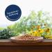 Lyra PET 2kg Dried Mealworms - Nutritious Protein Feed for Wild Birds Rodents Reptiles & Fish | Energy & Vitamins Included - Buy Online on GoSupps.com