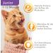 IAMS Delights Kitten Wet Food - High-Quality Chicken in Sauce Multipack (12 x 85g) | Ideal for Junior Kittens (1-12 Months) - International Shipping Available - Buy Online on GoSupps.com