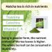 Bayu Store Premium Matcha 100g - Japan's Top Tea Master Supervised Matcha Powder from Japan for Lattes and Ceremonies - No Additives, Ideal for Gifts - Buy Online on GoSupps.com