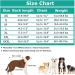 Etdane One-Divider for Dogs | Surgery Recovery Suit Prevents Hair Loss & Anxiety | XXL XXXL Gray Jumpsuit - Buy Online on GoSupps.com