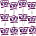 Mixed Fruit Flavoured Sugar Free Lollipops 24 x 8.3g - Real fruit juice lollipops
