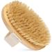 Dry Brush  100% Natural Dry Skin Exfoliating Body Brush  Cellulite Treatment  Lymphatic Massage  Blood Circulation  Tan