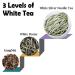 TEARELAE Silver Needle White Tea 4oz - Chinese Yunnan Premium Loose Leaf Bai Hao Yin Zhen - Low Caffeine Woody Aroma - Buy Online on GoSupps.com