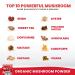 Organic Mushroom Powder Extract - Superfood 10 Supplement | 14x Stronger Immunity Booster 100% Pure USDA | Reishi, Chaga, Cordyceps, Shiitake, Lions Mane, Turkey Tail | Add to Coffee/Tea | 60g/2.12oz (Pack of 1) - Buy Online on GoSupps.com